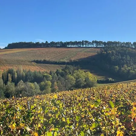 Maison Colette Frühstückspension 3*