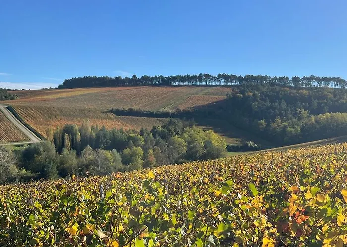 Maison Colette Bed & Breakfast 3*